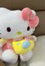 维尼小象正版HelloKitty凯蒂猫公仔毛绒kt猫玩偶六一儿童节礼物生日礼物 实拍图