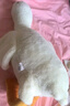 熊猫熊大白鹅玩偶抱枕陪睡觉布娃娃毛绒玩具超大公仔夹腿男生日礼物女生 实拍图