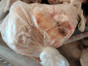 上鲜 鸡翅中 净重4斤 冷冻 出口级 鸡翅膀鸡中翅鸡肉烤鸡翅 清真食品 实拍图