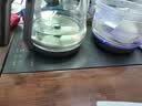 友家铺子（Biooner）全自动底部上水电热水壶烧水壶煮泡茶家用办公茶台一体机茶桌茶几嵌入式茶具套装 1L 木纹手柄【双上水】三合一 实拍图