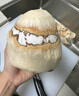 佳农 泰国进口椰青 2粒单果900g+ 赠开椰器吸管 生鲜水果 源头直发 实拍图