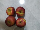 京鲜生 甘肃天水花牛苹果 又大又红 净重4斤装 单果200g起 新鲜水果  实拍图