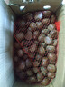 栗小胖新货迁西板栗生新鲜栗子生鲜迁西生栗子大油栗小毛唐山板粟 313品种净重5斤   大果（个头均匀果肉黄） 实拍图