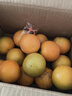 集南鲜 赣南脐橙 江西橙子新鲜现摘水果脐橙时令生鲜水果甜橙 水果礼盒 净重9斤 优选橙 单果70mm+ 实拍图