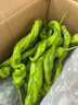 新鲜现摘薄皮螺丝椒微辣中辣香辣入味辣椒炒肉陇椒辣椒青椒 带箱3斤 实拍图