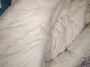 恒源祥抗菌舒柔纤维加厚冬被子8斤被芯双人200*230cm 实拍图