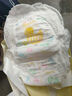 柔丫纸尿裤拉拉裤小倾芯一体式小内裤新生婴尿不湿幼儿男女通用 芯太软拉拉裤L56片 实拍图