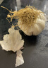 山东大蒜【中果】新鲜干蒜紫白皮大蒜农家新蒜头生鲜蔬菜调味辛辣 大蒜中果3.5-4.5cm【净重 100g 】 实拍图