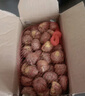 京觅正宗迁西生鲜板栗仁2斤去外壳生栗子仁源头直发 包邮 实拍图