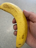 佳农 进口香蕉净重4斤（约10-12根）单根蕉 独立装 生鲜水果 新鲜包邮 实拍图