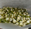 福东海 茉莉花苞100g  横县原产三伏晴天茉莉花茶干花蕾养生花茶泡水 实拍图