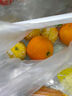 京鲜生 云南哀牢山冰糖橙/橙子 净重5斤  单果100-130g 生鲜水果礼盒 实拍图