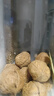 方家铺子中华老字号 云南特产核桃薄皮460g 原味零食每日坚果炒货 实拍图