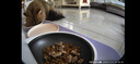 小佩宠物AI智能自动喂食器可视版 定时定量 猫狗宠物喂食 视频监控 实拍图