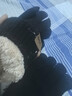 安妮莎 手套男女冬季保暖户外骑行滑雪触屏加绒冬天骑车开车防寒针织毛线情侣款男女士手套 黑色2款-防滑触屏 男女通用-有弹力 实拍图