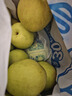京鲜生 长城玉露香梨 山西 净重5斤 单果150g+ 生鲜水果礼盒 实拍图