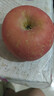 京地达烟台栖霞红富士苹果净重4.5斤单果约193g烟台苹果水果源头直发 实拍图