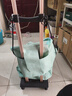 喜路仕买菜小推车平板车轻便折叠行李车四轮承重100斤BY04配清新绿袋 实拍图