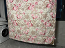 奈士迪 95%白鹅绒被柔面料羽绒被子冬天被芯95%白鹅绒冬被冬季 冬厚被 粉色印花 200*230cm春秋款（填充700g） 实拍图