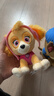 汪汪队立大功（PAW PATROL）汪汪队玩具毛绒全套狗狗玩偶公仔男女孩玩具旺旺队新年礼物 经典款-天天公仔【需选尺寸】 小号-坐高约15.2CM 实拍图