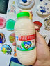 李子园【成毅同款】零蔗糖甜牛奶饮品香蕉味225ml*20瓶装整箱黑五 实拍图