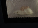 创维电视75A5F艺术款 75英寸512分区MiniLED 哑光屏显无缝贴墙壁画电视机75吋壁纸电视国家补贴 75A5FT 实拍图