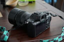 索尼（SONY）微单相机全画幅 Alpha 7 III 机身（a7M3/A73/ILCE-7M3）约2420万有效像素5轴防抖 实拍图