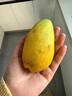海南小台农芒果9斤新鲜现摘小台芒应当季时令热带水果整箱甜心芒 9斤净重8.5斤 【中果】实惠装 实拍图
