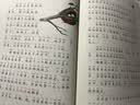 森林报春夏秋冬（4册）儿童自然科普百科全书小学生课外阅读彩图注音版附二十四节气思维导图扫码有声伴读 开学季 实拍图