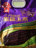 十月稻田 黑糯玉米 3.52斤(220g*8根) 东北甜黏玉米棒 早餐苞米 低脂零食 实拍图