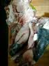羊头肉4斤八成熟整箱羊脸肉卤全无骨去骨整个新鲜生羊头整只熟食 去骨花羊头肉【3斤装】 实拍图