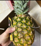 佳农 菲律宾进口菠萝 2个装 凤梨 单果净重2斤 生鲜水果源头直发 包邮 实拍图