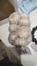 山东金乡蒜大蒜出口标准精选大蒜头蔬菜调料单果5cm 出口标准网兜装箱 455g 5-5.5cm特大 实拍图
