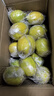 广东香水黄柠檬新鲜柠檬奶茶店专用香水黄柠檬水果产地源头直发 （带箱5斤）香水柠檬黄果单果70g起 实拍图
