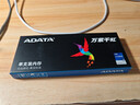 威刚（ADATA）16GB DDR4 2666 台式机内存 万紫千红 实拍图