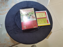同仁堂 北京同仁堂 艾灸坐垫蒲团 艾灸凳家用艾灸仪艾灸盒坐灸垫 绒布蓝 实拍图
