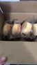 港荣蒸蛋糕咸肉松蛋糕790g零食面包饼干休闲中西式糕点心甜品礼品盒物 实拍图