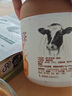 朴珍鲜牛乳奶茶无蔗糖冲饮早餐下午茶生牛乳甜味内蒙速溶奶茶粉450g 实拍图