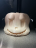 拓竹P1SC 3D打印机桌面家用FDM全自动调平大尺寸多色高速3d打印机器【大陆版】 实拍图