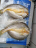 1号会员店零添加保水剂三去干腌黄鱼鲞(4条*150g) 600g 大黄鱼海鲜水产 实拍图
