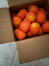 京鲜生 湖北秭归夏橙净重8斤 单果140g+ 生鲜水果 源头直发包邮 实拍图