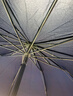 天堂 加大雨伞三折 晴雨两用商务伞经典格纹10骨大雨伞男女 藏青 实拍图