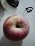 甜醉了 烟台苹果栖霞红富士新鲜水果生鲜山东特产脆甜整箱平果礼盒礼品 净重5斤 85mm 实拍图