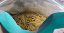 三隐绿茶 安吉白叶一号珍稀白茶 明前春茶新茶250g茶叶礼盒父亲节送礼 实拍图