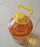 鲁花 食用油 物理压榨 葵花仁油6.18L  实拍图