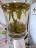西湖工夫2025新茶叶绿茶【老茶树龙井】明前特级春茶自己喝20g自饮 实拍图