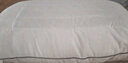 洁丽雅（Grace）枕头枕芯 磨毛镶边绗缝苦荞麦保健枕 荞麦枕45*70cm 单只装 实拍图
