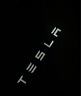 特斯拉（Tesla）官方 2020-2024 Model Y 迎宾灯 氛围车门灯装饰前门&后门 前门（一对） 实拍图