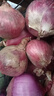 紫皮洋葱新鲜脆甜圆葱蔬菜红皮特产农家 净重5斤（单果150g+） 实拍图