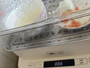 小熊（Bear）电蒸锅 不锈钢 家用多层大容量可视蒸箱 蒸鱼馒头包子14.7L一体多功能电锅 DZG-CA2G2 实拍图